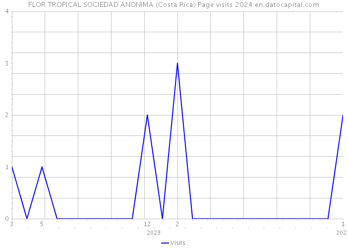 FLOR TROPICAL SOCIEDAD ANONIMA (Costa Rica) Page visits 2024 