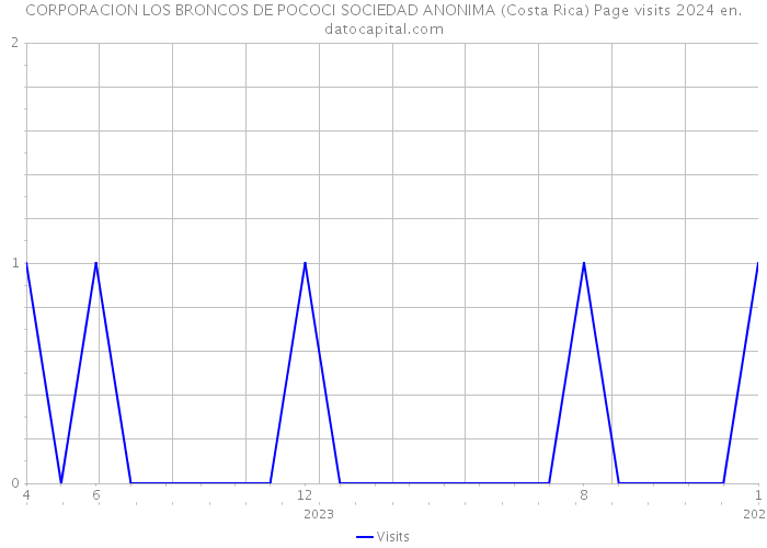 CORPORACION LOS BRONCOS DE POCOCI SOCIEDAD ANONIMA (Costa Rica) Page visits 2024 