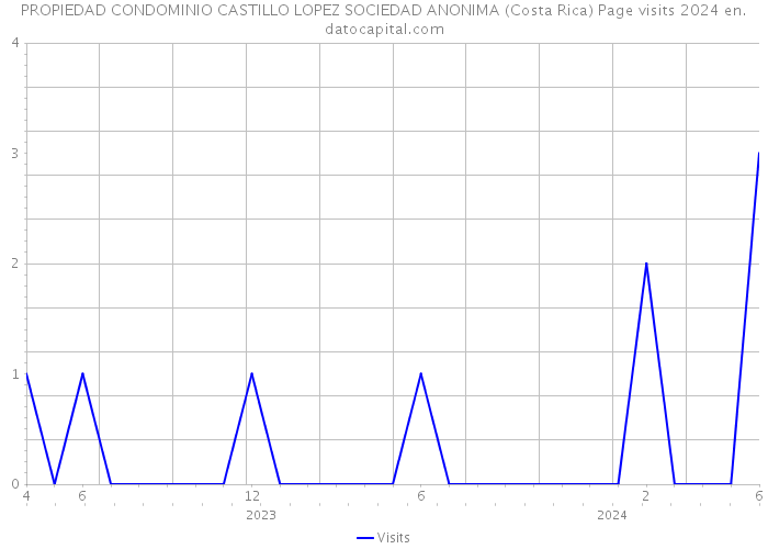 PROPIEDAD CONDOMINIO CASTILLO LOPEZ SOCIEDAD ANONIMA (Costa Rica) Page visits 2024 