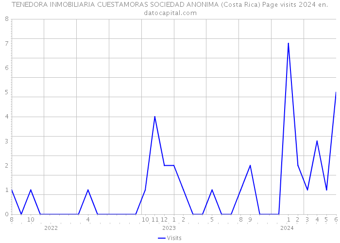 TENEDORA INMOBILIARIA CUESTAMORAS SOCIEDAD ANONIMA (Costa Rica) Page visits 2024 