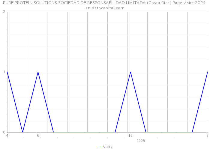 PURE PROTEIN SOLUTIONS SOCIEDAD DE RESPONSABILIDAD LIMITADA (Costa Rica) Page visits 2024 