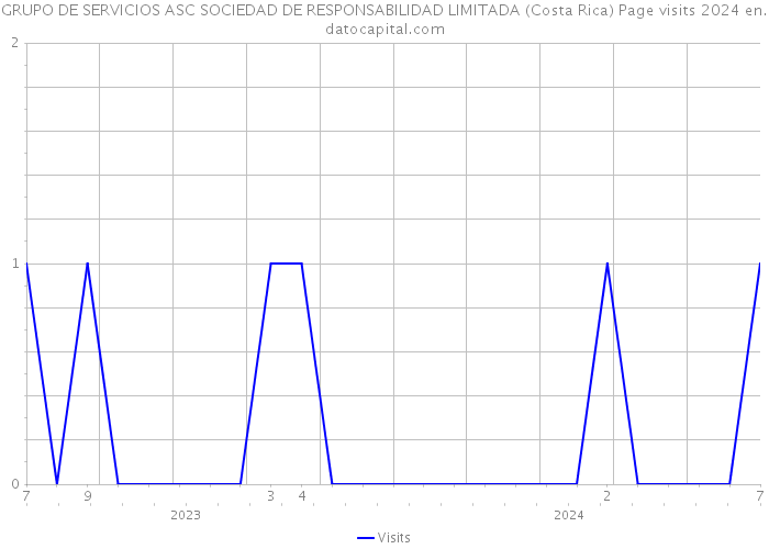 GRUPO DE SERVICIOS ASC SOCIEDAD DE RESPONSABILIDAD LIMITADA (Costa Rica) Page visits 2024 