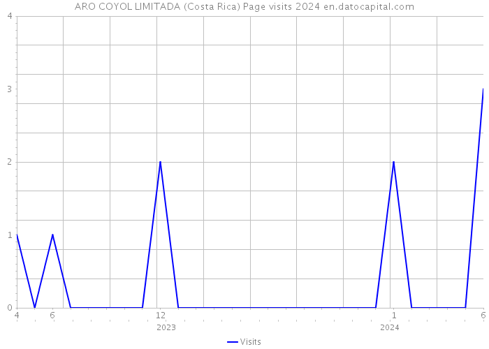 ARO COYOL LIMITADA (Costa Rica) Page visits 2024 