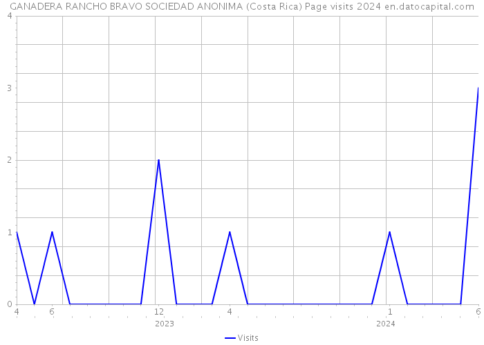 GANADERA RANCHO BRAVO SOCIEDAD ANONIMA (Costa Rica) Page visits 2024 