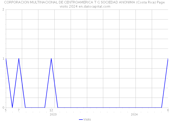 CORPORACION MULTINACIONAL DE CENTROAMERICA T G SOCIEDAD ANONIMA (Costa Rica) Page visits 2024 