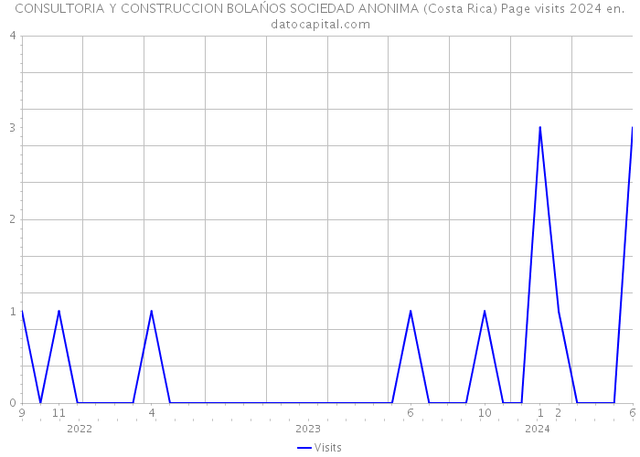 CONSULTORIA Y CONSTRUCCION BOLAŃOS SOCIEDAD ANONIMA (Costa Rica) Page visits 2024 