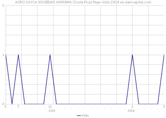 AGRO CAYCA SOCIEDAD ANONIMA (Costa Rica) Page visits 2024 