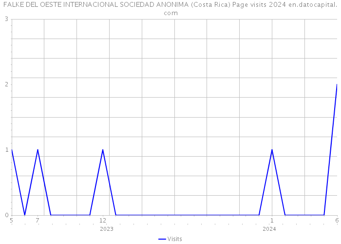 FALKE DEL OESTE INTERNACIONAL SOCIEDAD ANONIMA (Costa Rica) Page visits 2024 