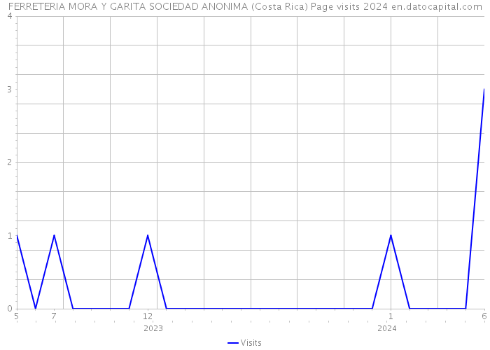 FERRETERIA MORA Y GARITA SOCIEDAD ANONIMA (Costa Rica) Page visits 2024 