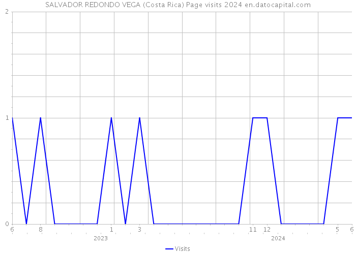 SALVADOR REDONDO VEGA (Costa Rica) Page visits 2024 