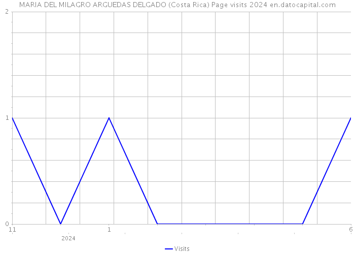 MARIA DEL MILAGRO ARGUEDAS DELGADO (Costa Rica) Page visits 2024 