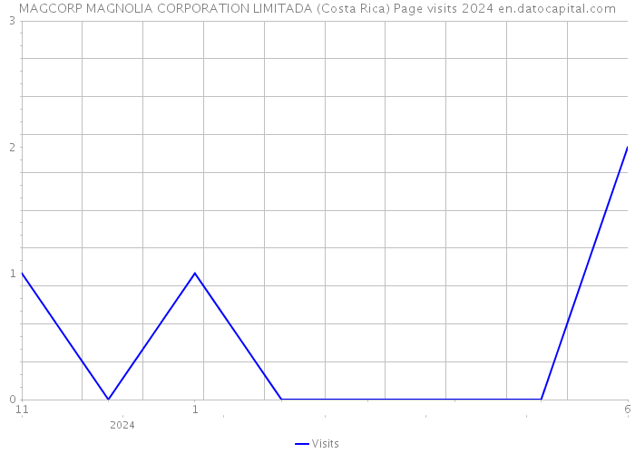MAGCORP MAGNOLIA CORPORATION LIMITADA (Costa Rica) Page visits 2024 