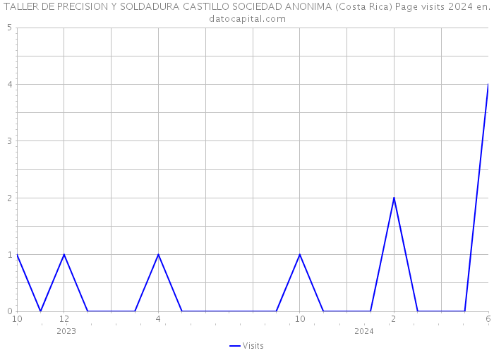 TALLER DE PRECISION Y SOLDADURA CASTILLO SOCIEDAD ANONIMA (Costa Rica) Page visits 2024 