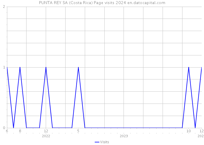 PUNTA REY SA (Costa Rica) Page visits 2024 