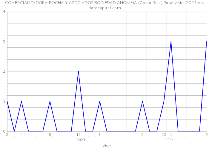 COMERCIALIZADORA ROCHA Y ASOCIADOS SOCIEDAD ANONIMA (Costa Rica) Page visits 2024 