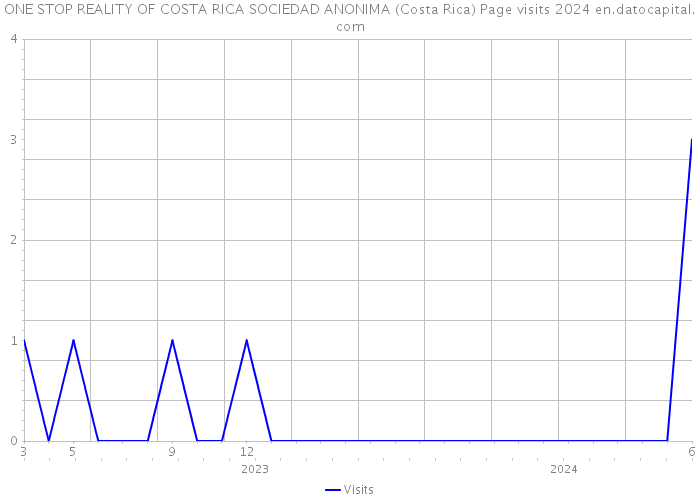 ONE STOP REALITY OF COSTA RICA SOCIEDAD ANONIMA (Costa Rica) Page visits 2024 