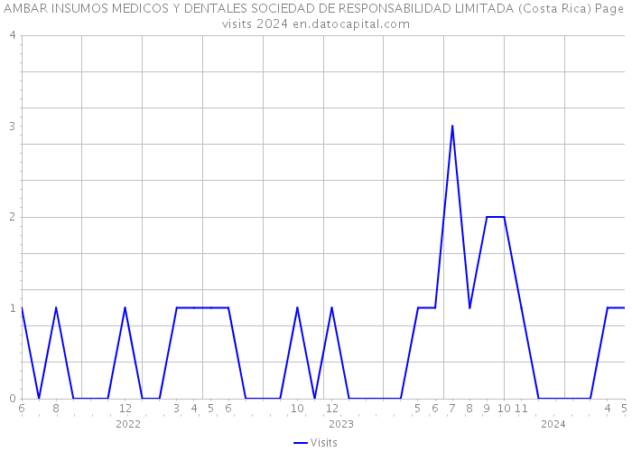 AMBAR INSUMOS MEDICOS Y DENTALES SOCIEDAD DE RESPONSABILIDAD LIMITADA (Costa Rica) Page visits 2024 