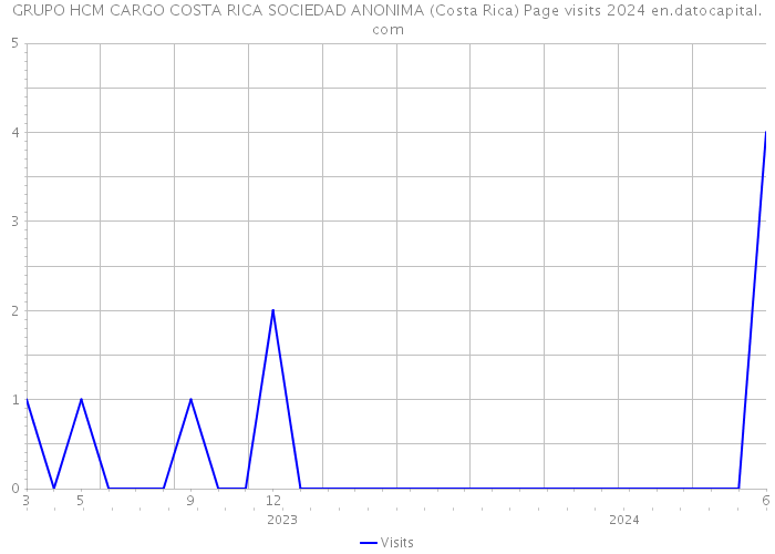 GRUPO HCM CARGO COSTA RICA SOCIEDAD ANONIMA (Costa Rica) Page visits 2024 