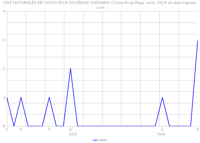 VIAS NATURALES DE COSTA RICA SOCIEDAD ANONIMA (Costa Rica) Page visits 2024 