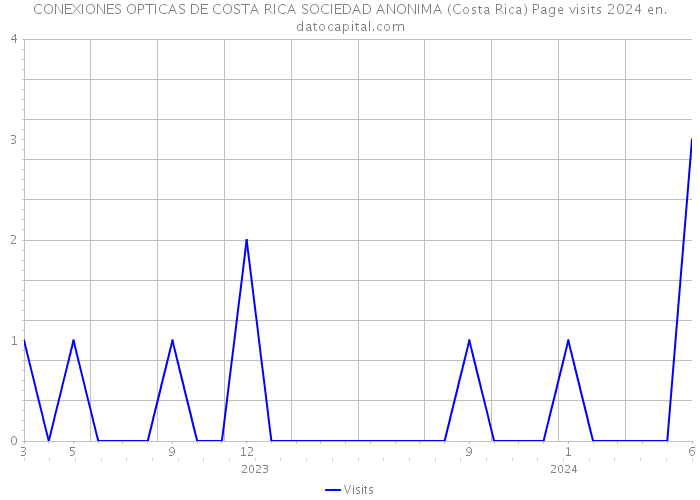 CONEXIONES OPTICAS DE COSTA RICA SOCIEDAD ANONIMA (Costa Rica) Page visits 2024 