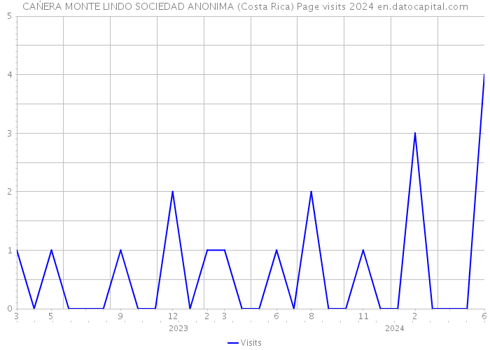 CAŃERA MONTE LINDO SOCIEDAD ANONIMA (Costa Rica) Page visits 2024 
