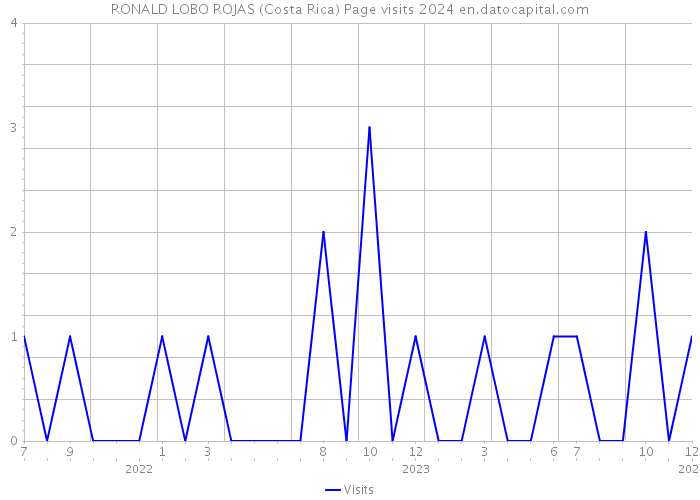 RONALD LOBO ROJAS (Costa Rica) Page visits 2024 