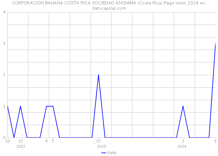 CORPORACION BANANA COSTA RICA SOCIEDAD ANONIMA (Costa Rica) Page visits 2024 