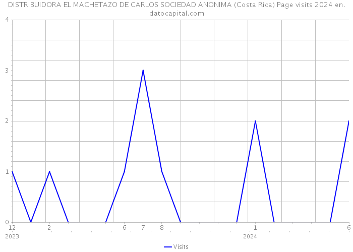 DISTRIBUIDORA EL MACHETAZO DE CARLOS SOCIEDAD ANONIMA (Costa Rica) Page visits 2024 