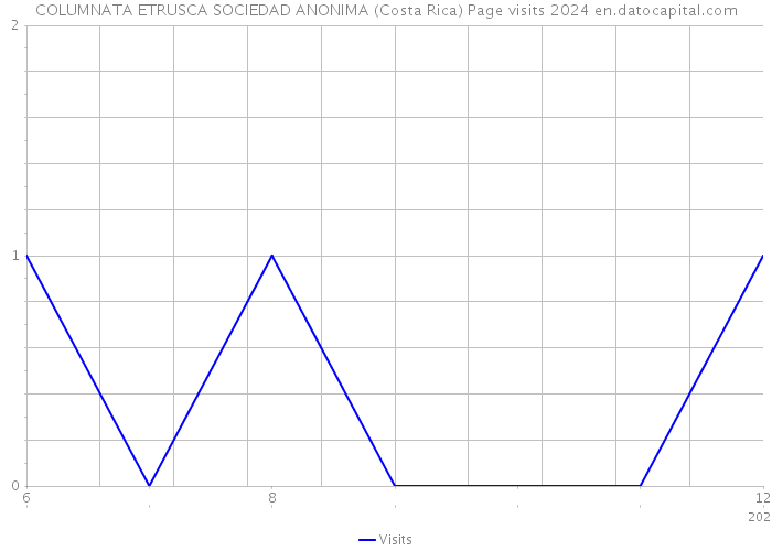 COLUMNATA ETRUSCA SOCIEDAD ANONIMA (Costa Rica) Page visits 2024 
