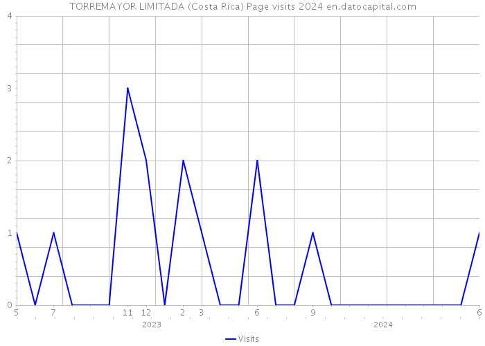 TORREMAYOR LIMITADA (Costa Rica) Page visits 2024 