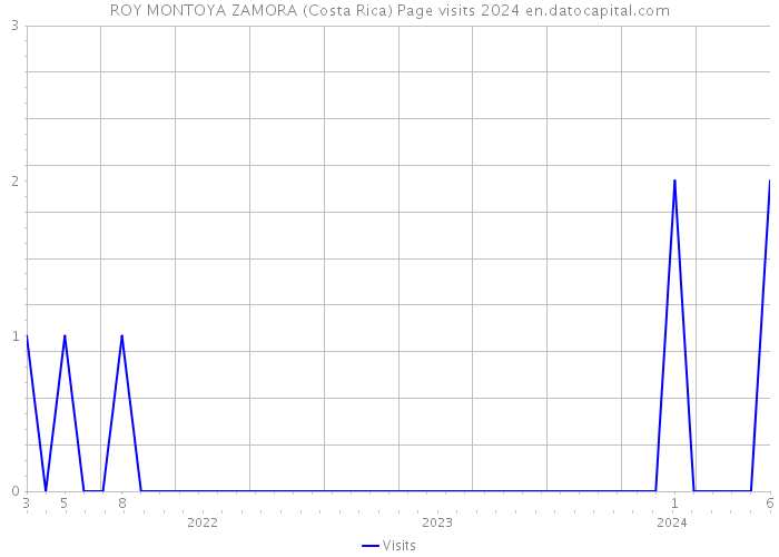 ROY MONTOYA ZAMORA (Costa Rica) Page visits 2024 