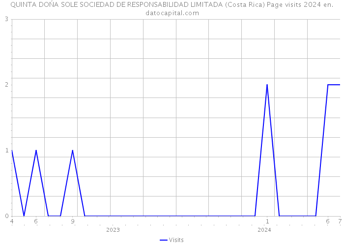 QUINTA DOŃA SOLE SOCIEDAD DE RESPONSABILIDAD LIMITADA (Costa Rica) Page visits 2024 