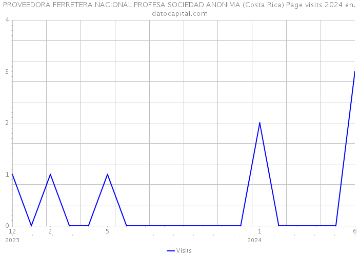 PROVEEDORA FERRETERA NACIONAL PROFESA SOCIEDAD ANONIMA (Costa Rica) Page visits 2024 