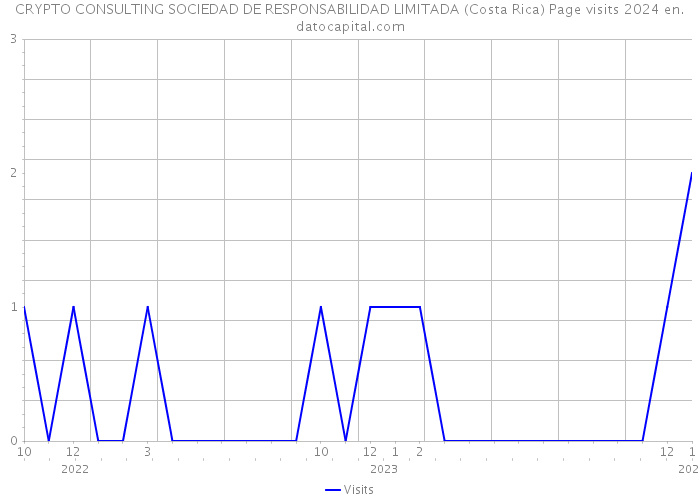 CRYPTO CONSULTING SOCIEDAD DE RESPONSABILIDAD LIMITADA (Costa Rica) Page visits 2024 