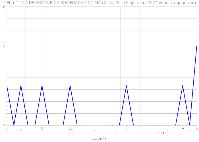 PIEL Y TINTA DE COSTA RICA SOCIEDAD ANONIMA (Costa Rica) Page visits 2024 
