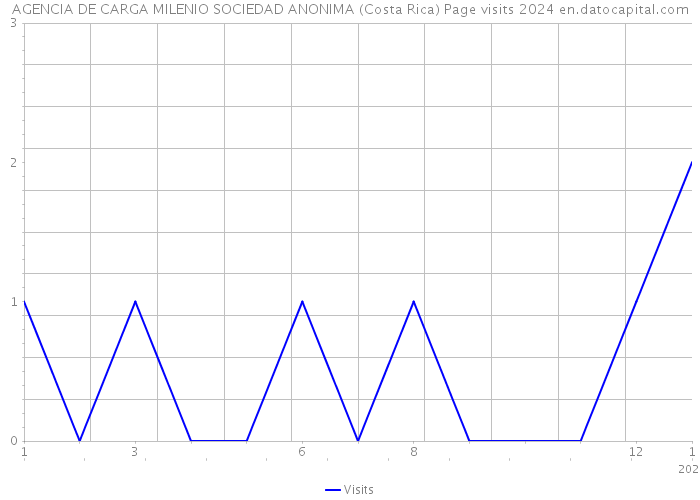 AGENCIA DE CARGA MILENIO SOCIEDAD ANONIMA (Costa Rica) Page visits 2024 