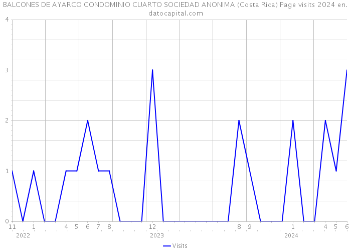 BALCONES DE AYARCO CONDOMINIO CUARTO SOCIEDAD ANONIMA (Costa Rica) Page visits 2024 