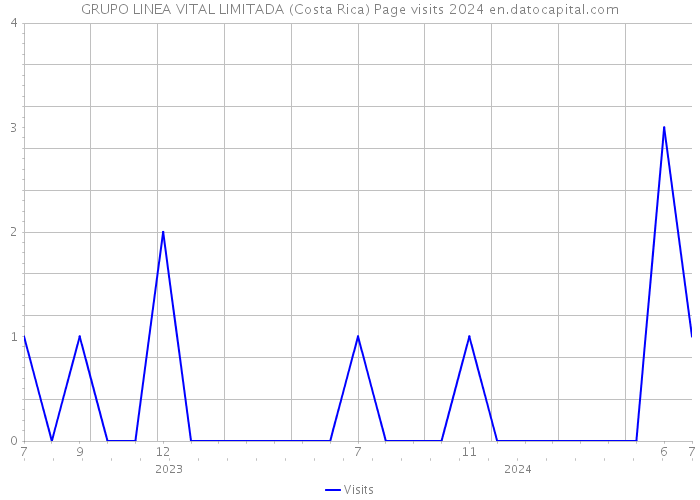 GRUPO LINEA VITAL LIMITADA (Costa Rica) Page visits 2024 