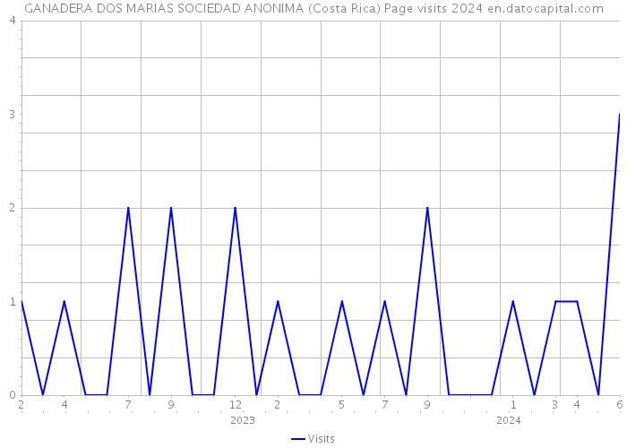 GANADERA DOS MARIAS SOCIEDAD ANONIMA (Costa Rica) Page visits 2024 