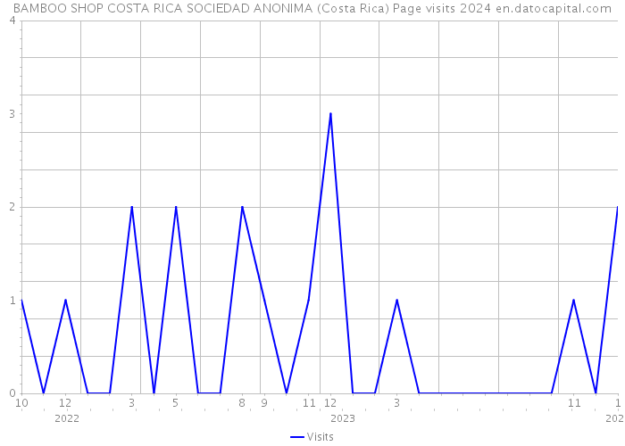 BAMBOO SHOP COSTA RICA SOCIEDAD ANONIMA (Costa Rica) Page visits 2024 