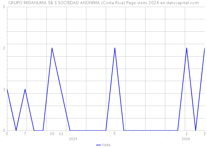 GRUPO MIDANUMA S& S SOCIEDAD ANONIMA (Costa Rica) Page visits 2024 