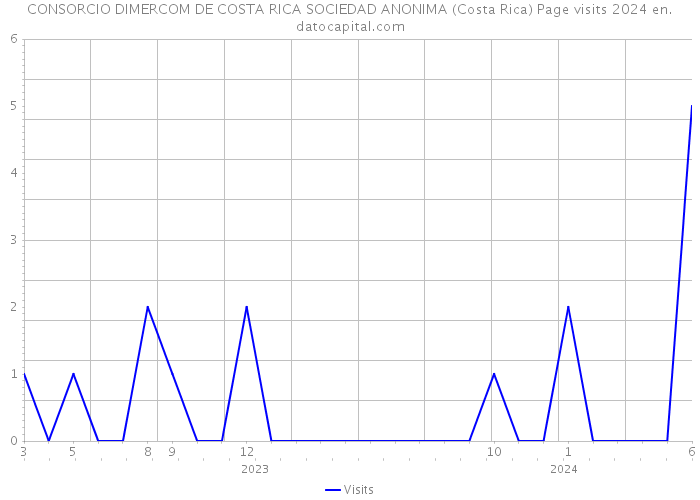 CONSORCIO DIMERCOM DE COSTA RICA SOCIEDAD ANONIMA (Costa Rica) Page visits 2024 