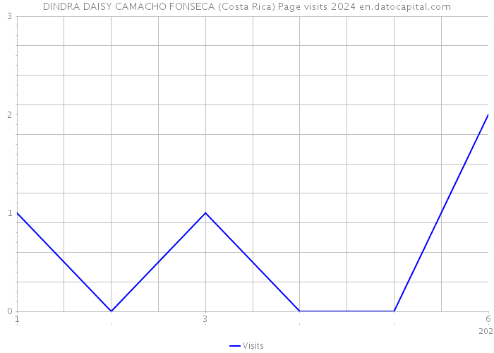 DINDRA DAISY CAMACHO FONSECA (Costa Rica) Page visits 2024 