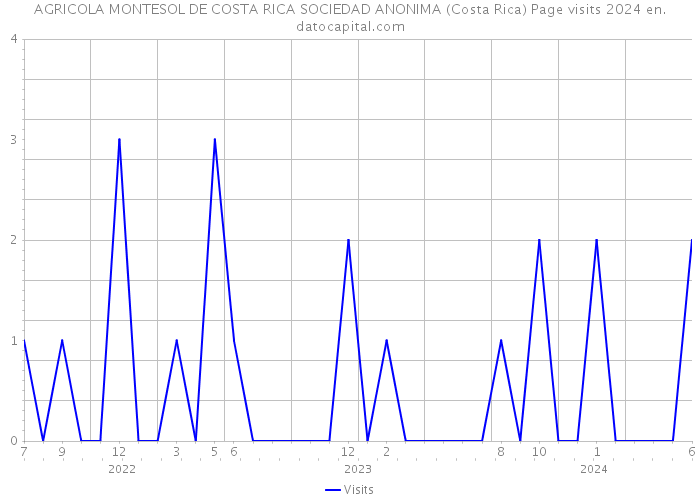 AGRICOLA MONTESOL DE COSTA RICA SOCIEDAD ANONIMA (Costa Rica) Page visits 2024 