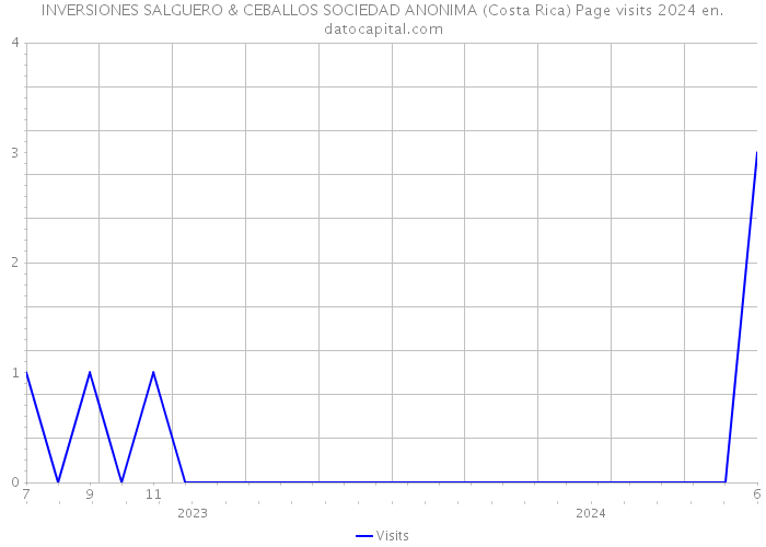 INVERSIONES SALGUERO & CEBALLOS SOCIEDAD ANONIMA (Costa Rica) Page visits 2024 