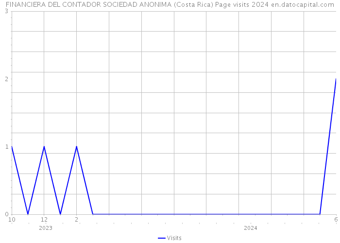 FINANCIERA DEL CONTADOR SOCIEDAD ANONIMA (Costa Rica) Page visits 2024 