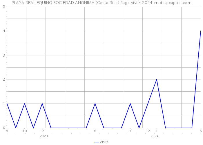 PLAYA REAL EQUINO SOCIEDAD ANONIMA (Costa Rica) Page visits 2024 