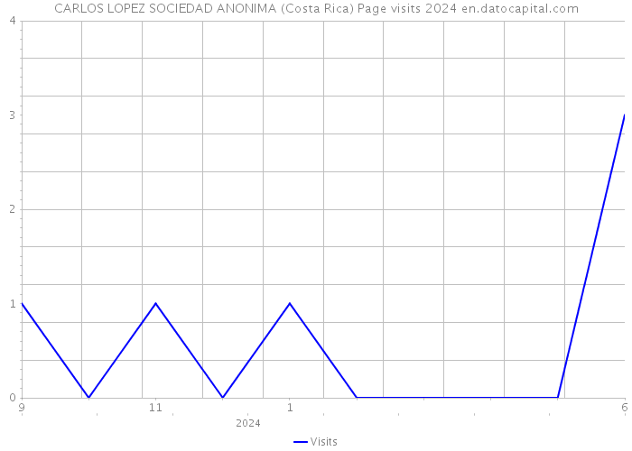 CARLOS LOPEZ SOCIEDAD ANONIMA (Costa Rica) Page visits 2024 