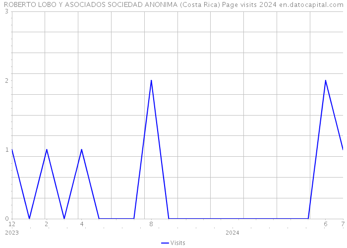 ROBERTO LOBO Y ASOCIADOS SOCIEDAD ANONIMA (Costa Rica) Page visits 2024 
