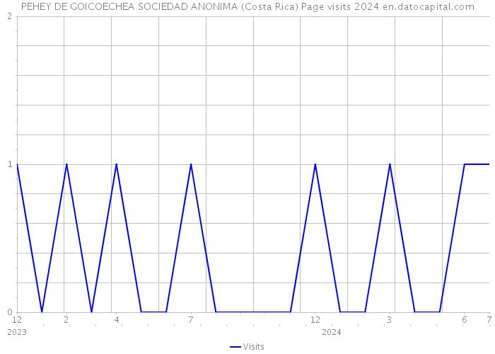 PEHEY DE GOICOECHEA SOCIEDAD ANONIMA (Costa Rica) Page visits 2024 